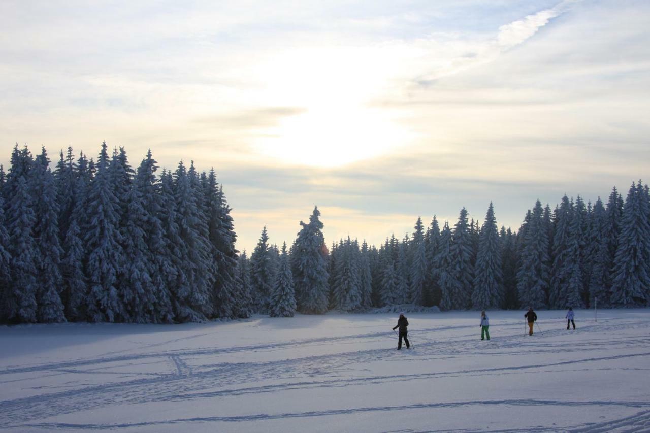 Kurpark Domizil Villa Altenau  Kültér fotó