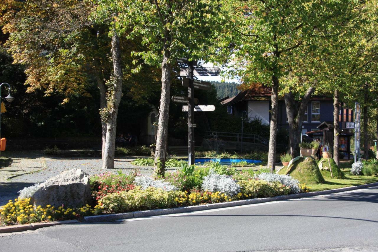Kurpark Domizil Villa Altenau  Kültér fotó